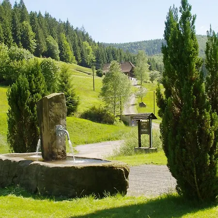 Apartmán Gaestehaus Absbachtal Bad Rippoldsau-Schapbach