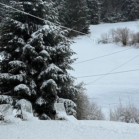 Gaestehaus Absbachtal Bad Rippoldsau-Schapbach