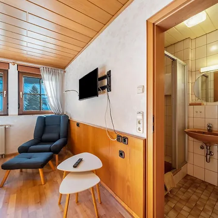 Gaestehaus Absbachtal Apartmán Bad Rippoldsau-Schapbach