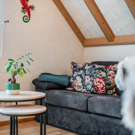 Gaestehaus Absbachtal Bad Rippoldsau-Schapbach